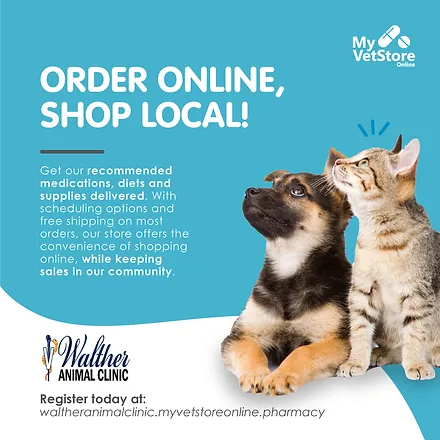 Online store animal shopping